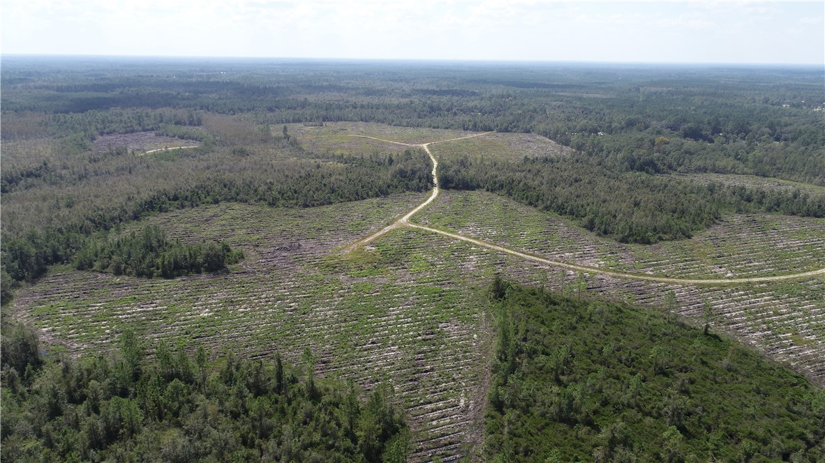 0 County Line Road Hinesville, GA 31313 - Photo 45 of 76