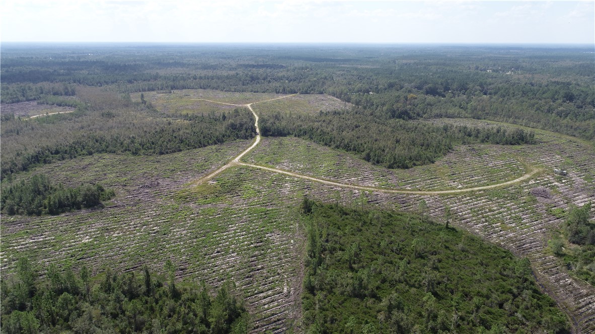 0 County Line Road Hinesville, GA 31313 - Photo 46 of 76