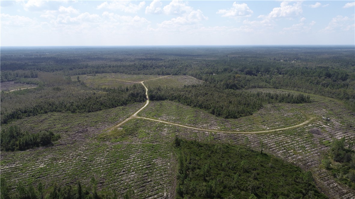 0 County Line Road Hinesville, GA 31313 - Photo 47 of 76