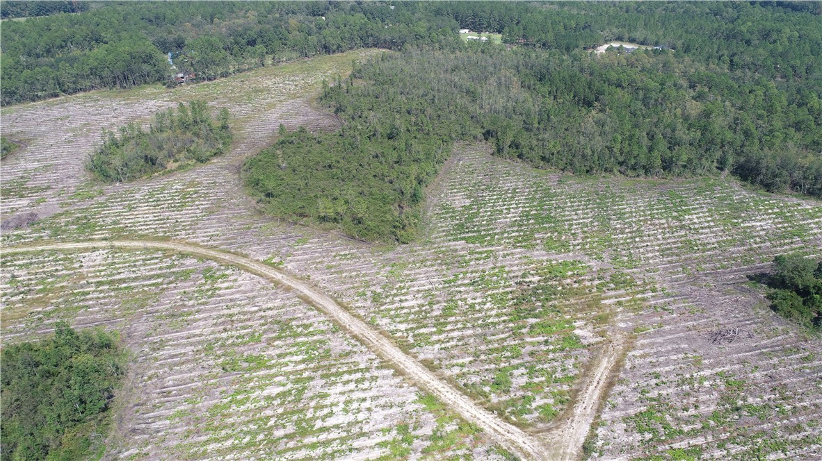 0 County Line Road Hinesville, GA 31313 - Photo 5 of 76