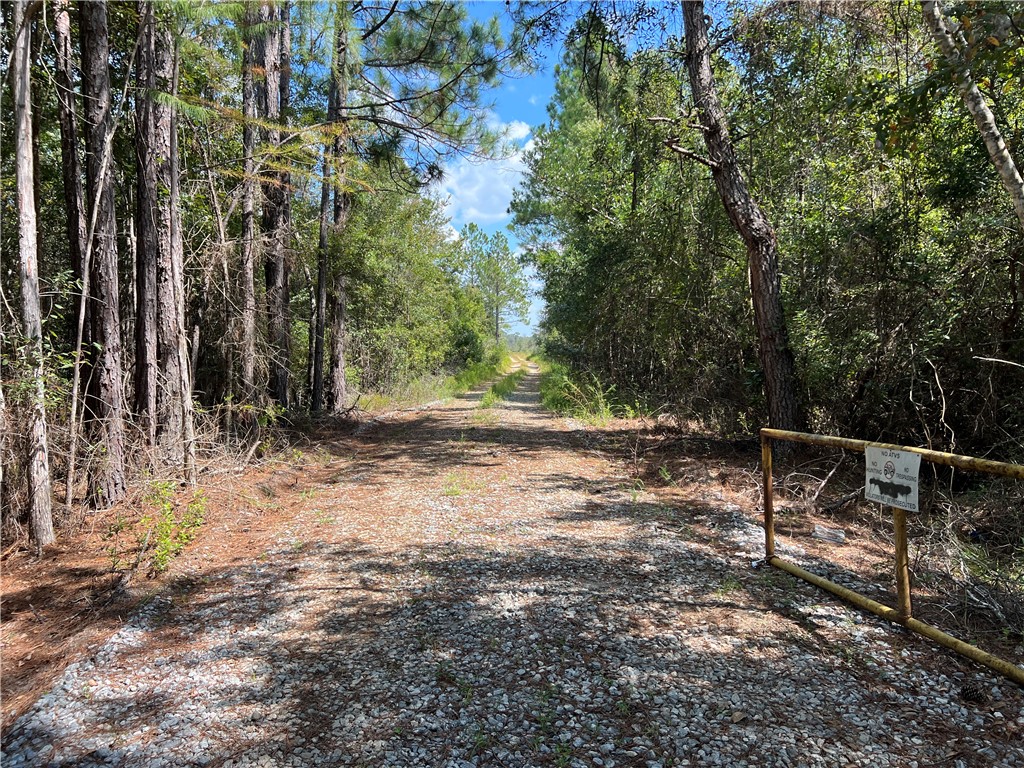 0 County Line Road Hinesville, GA 31313 - Photo 51 of 76