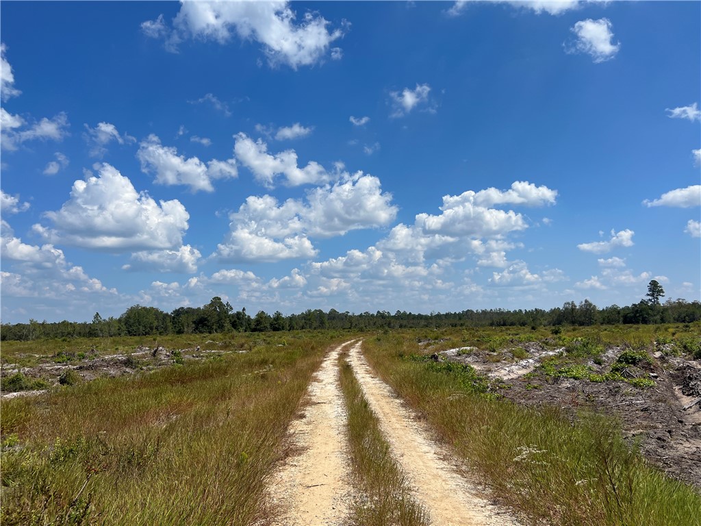 0 County Line Road Hinesville, GA 31313 - Photo 52 of 76