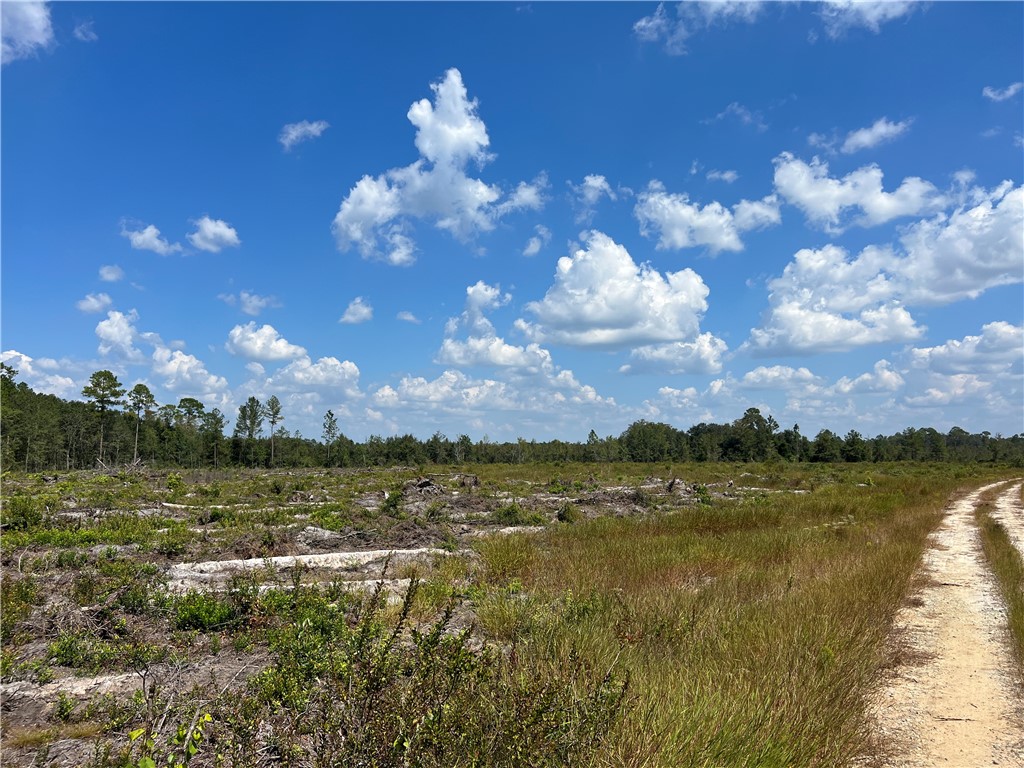 0 County Line Road Hinesville, GA 31313 - Photo 54 of 76