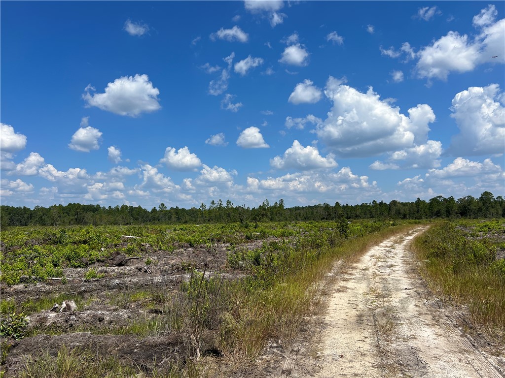 0 County Line Road Hinesville, GA 31313 - Photo 56 of 76