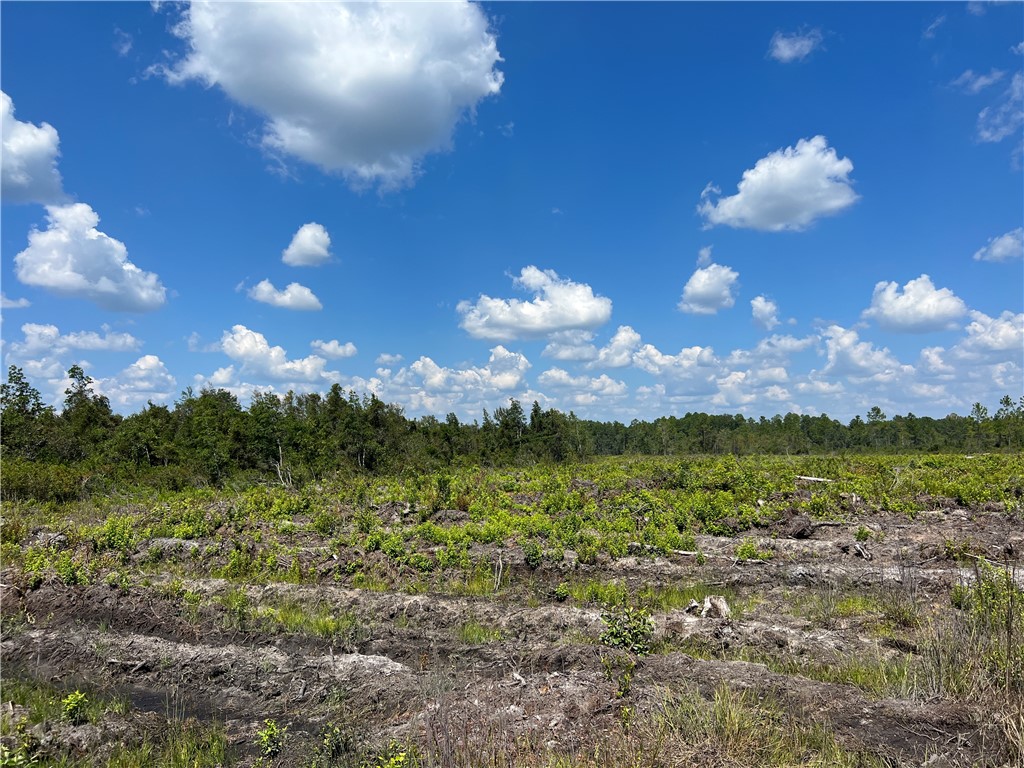 0 County Line Road Hinesville, GA 31313 - Photo 57 of 76