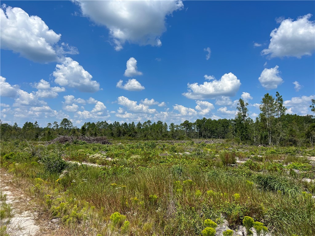 0 County Line Road Hinesville, GA 31313 - Photo 58 of 76