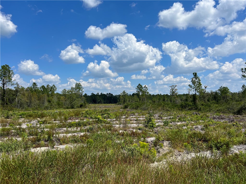 0 County Line Road Hinesville, GA 31313 - Photo 60 of 76