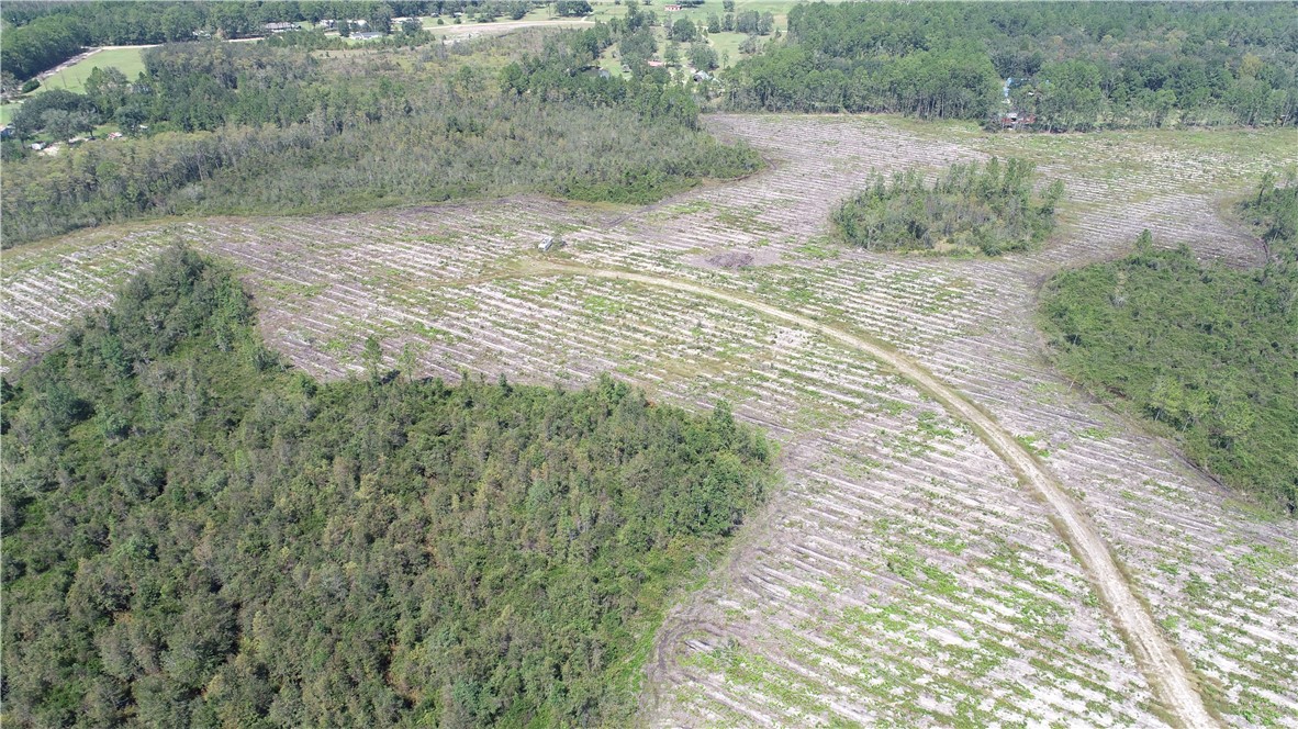 0 County Line Road Hinesville, GA 31313 - Photo 6 of 76