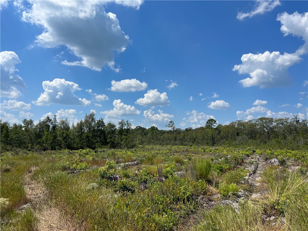 0 County Line Road Hinesville, GA 31313 - Photo 61 of 76