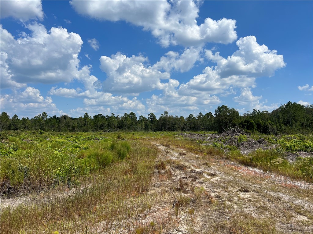 0 County Line Road Hinesville, GA 31313 - Photo 63 of 76