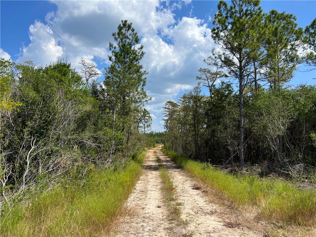 0 County Line Road Hinesville, GA 31313 - Photo 65 of 76