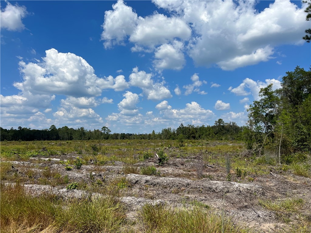 0 County Line Road Hinesville, GA 31313 - Photo 66 of 76