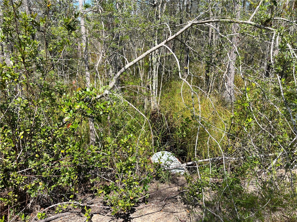 0 County Line Road Hinesville, GA 31313 - Photo 67 of 76