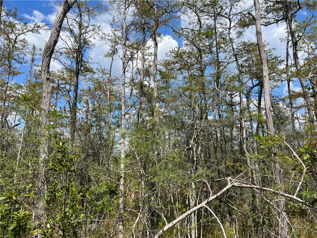 0 County Line Road Hinesville, GA 31313 - Photo 68 of 76