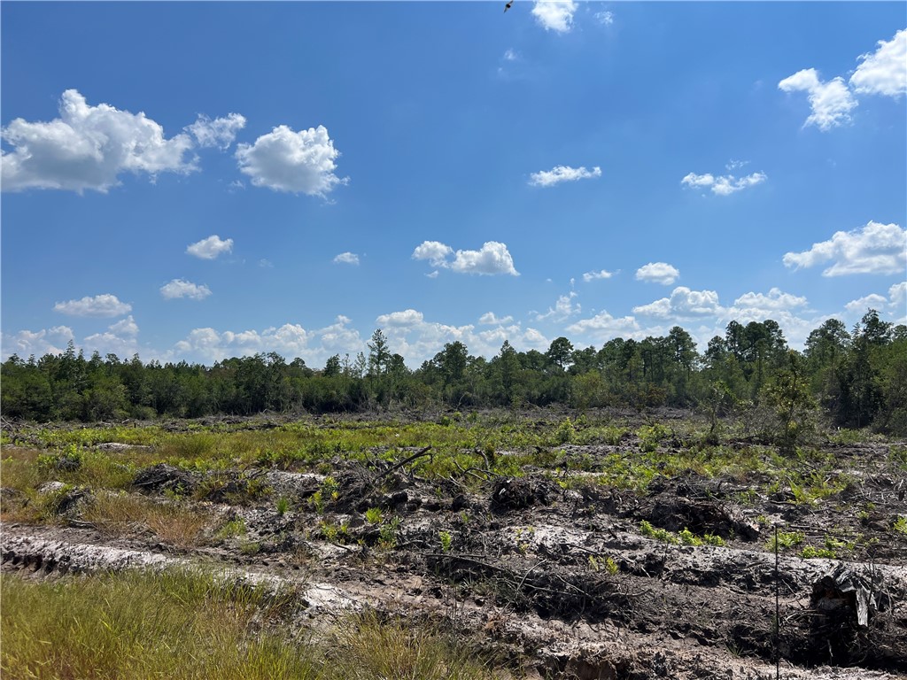 0 County Line Road Hinesville, GA 31313 - Photo 69 of 76