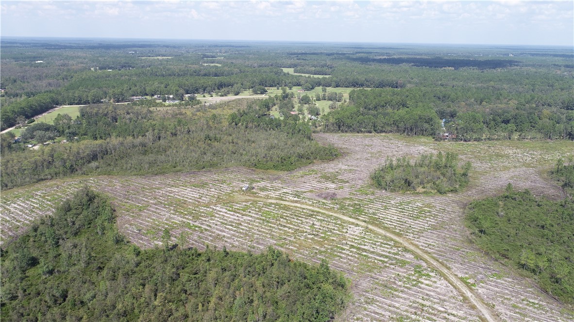 0 County Line Road Hinesville, GA 31313 - Photo 7 of 76