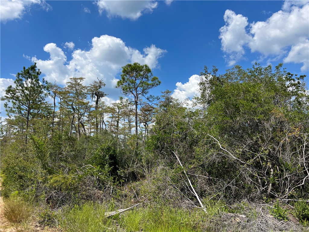 0 County Line Road Hinesville, GA 31313 - Photo 72 of 76