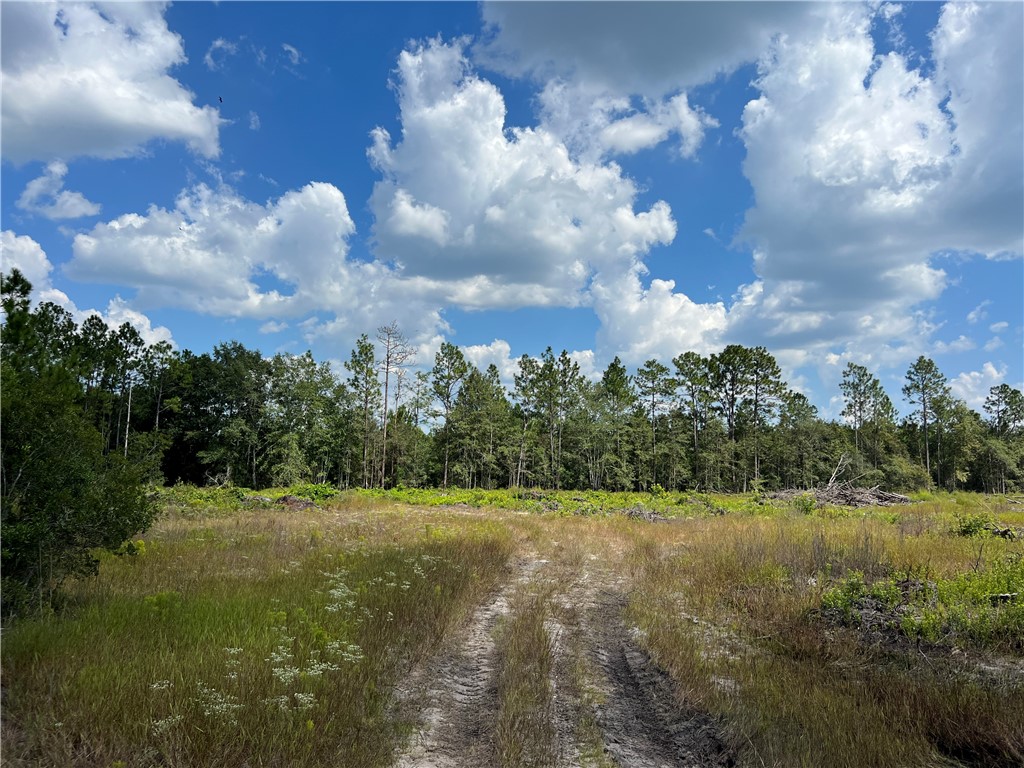 0 County Line Road Hinesville, GA 31313 - Photo 73 of 76