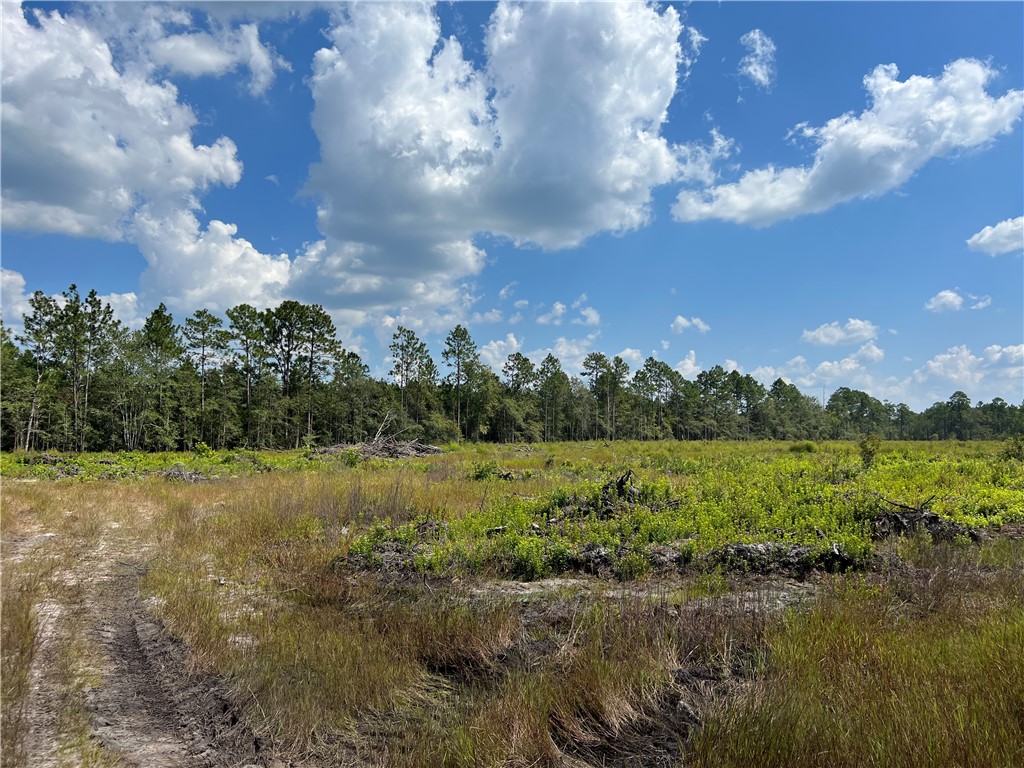 0 County Line Road Hinesville, GA 31313 - Photo 76 of 76