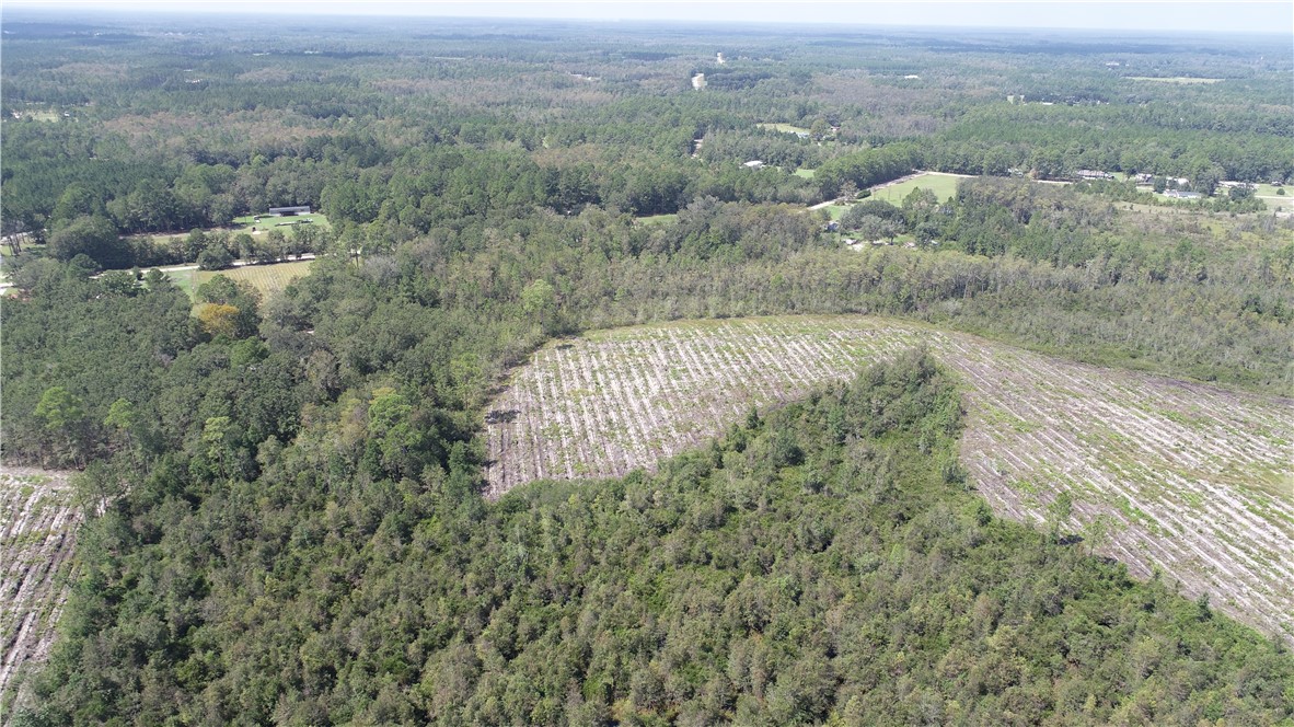 0 County Line Road Hinesville, GA 31313 - Photo 8 of 76