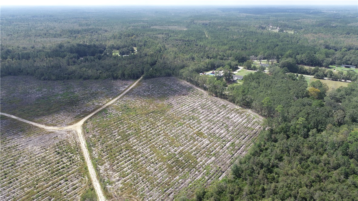 0 County Line Road Hinesville, GA 31313 - Photo 9 of 76