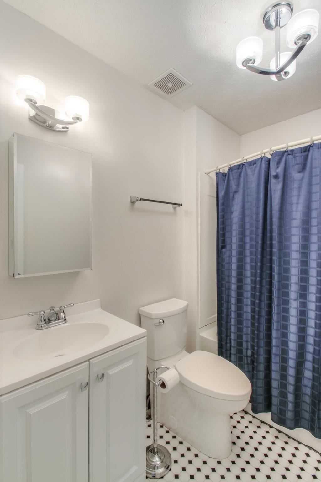 1046 Rocky Valley Road Lebanon, TN 37090 - Photo 15 of 30 The second bathroom has a single vanity and a shower tub combo