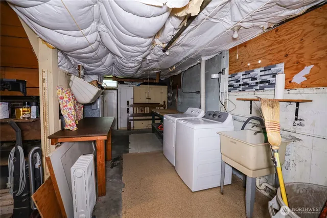 a view of a yard with plants and large trees