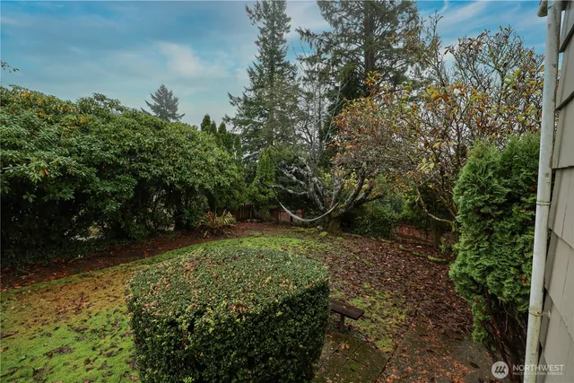 a view of a backyard