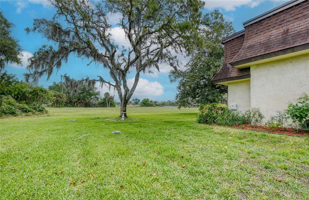 7040 Cognac Drive, Unit 3 New Port Richey, FL 34653 - Photo 6 of 31 a view of backyard with green space