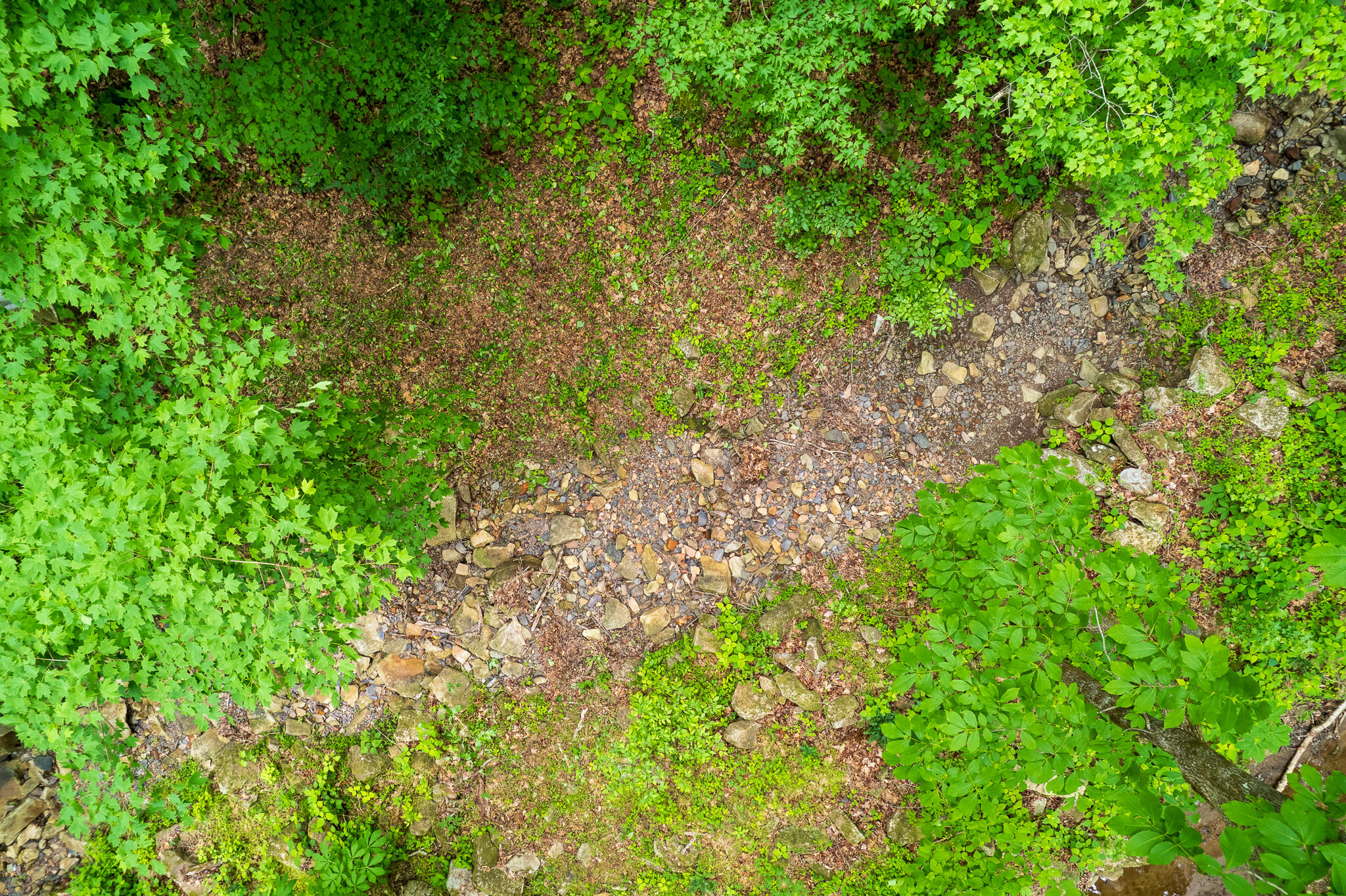 0 Murphy Hollow Road Trenton, GA 30752 - Photo 3 of 12 DJI_0683