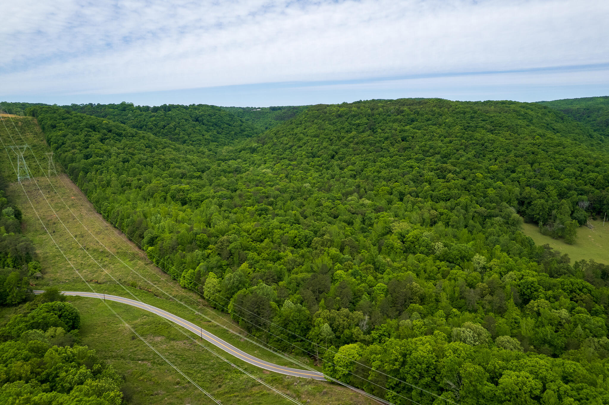 0 Murphy Hollow Road Trenton, GA 30752 - Photo 4 of 12 DJI_0702