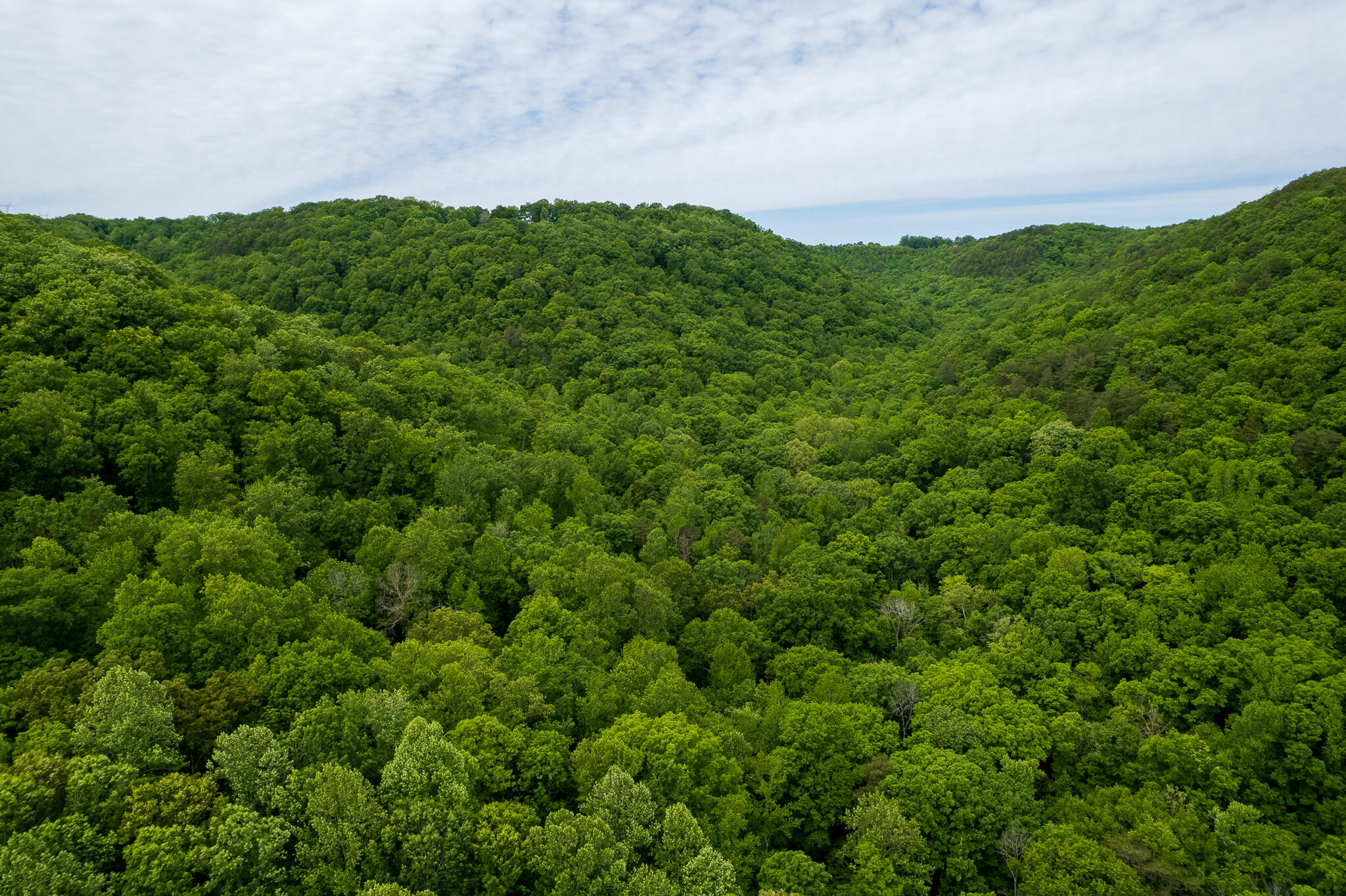 0 Murphy Hollow Road Trenton, GA 30752 - Photo 5 of 12 DJI_0706
