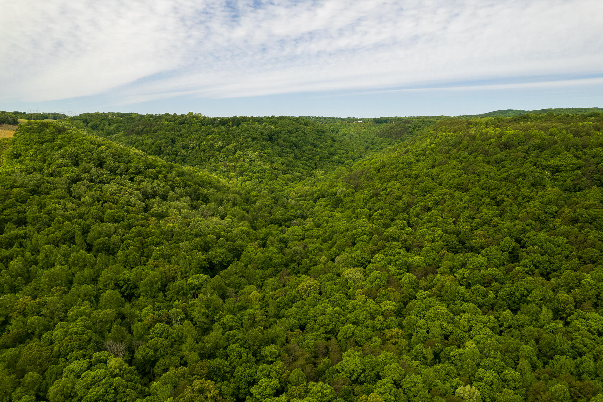 0 Murphy Hollow Road Trenton, GA 30752 - Photo 7 of 12 DJI_0719