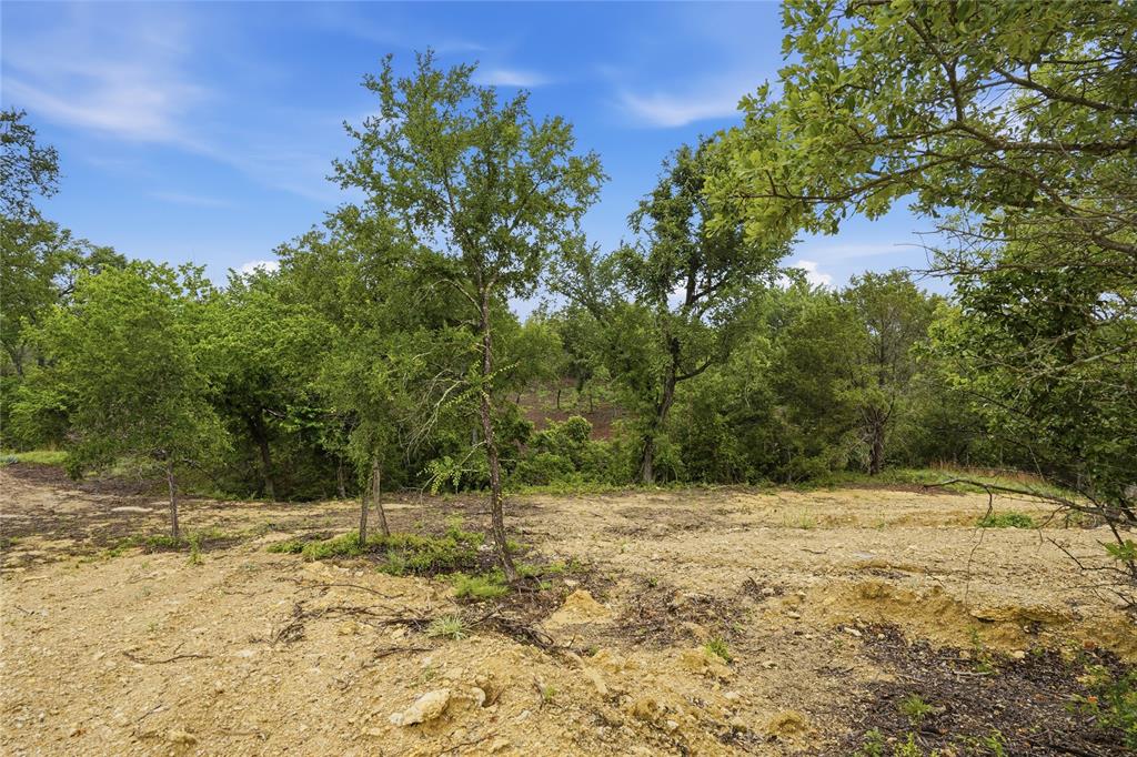 Tbd Northview Road Aledo, TX 76008 - Photo 9 of 35 a view of a yard with trees