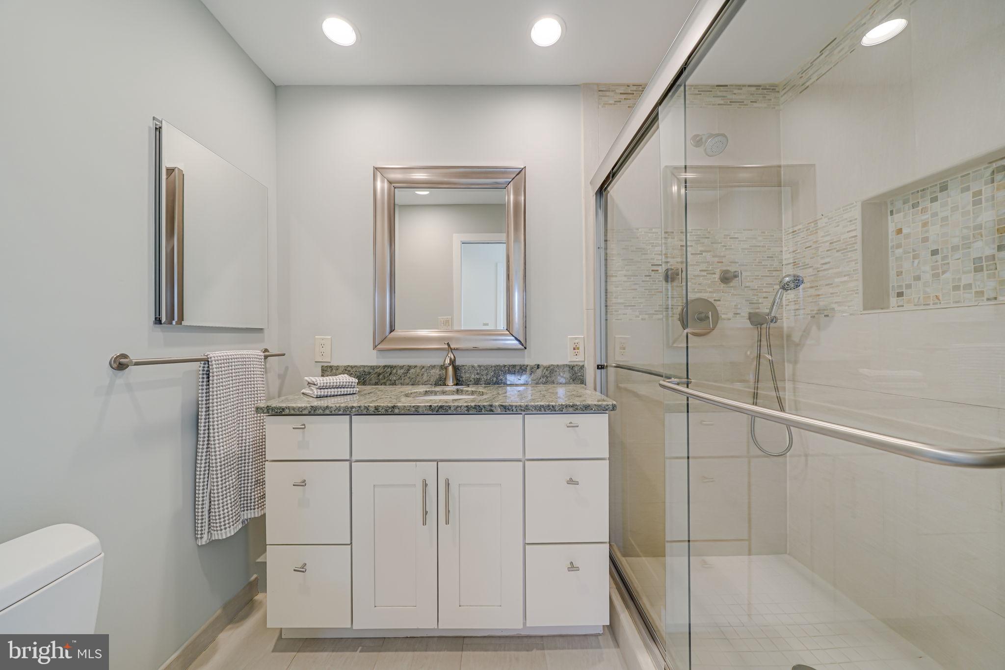 1402 Ingeborg Court McLean, VA 22101 - Photo 24 of 124 Entrance Level Full Bath