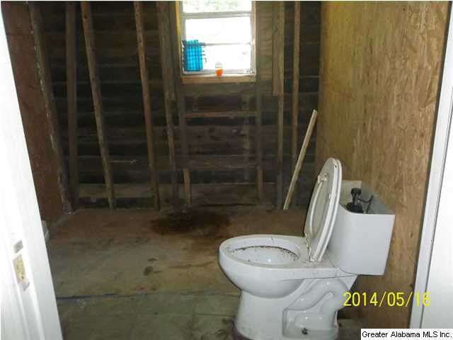 4951 Bryan Road Dora, AL 35062 - Photo 10 of 11