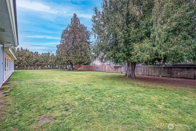 a view of a yard with a tree