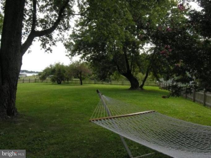 Back yard