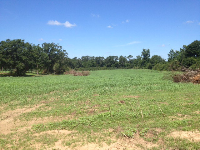 0 Mt Hermon Road Osyka, MS 39657 - Photo 1 of 1 Main View