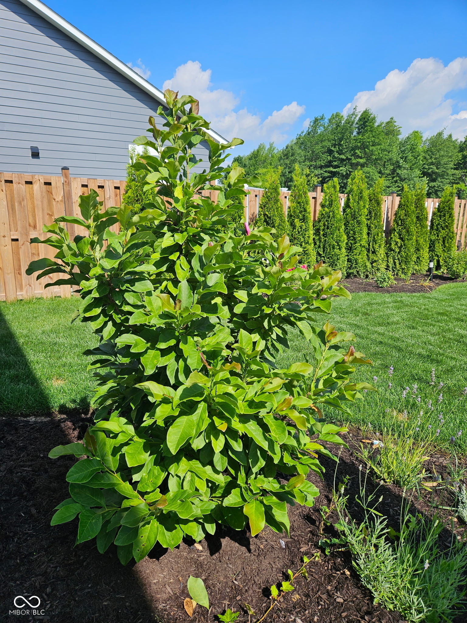 140 Waterford Court Pendleton, IN 46064 - Photo 16 of 69