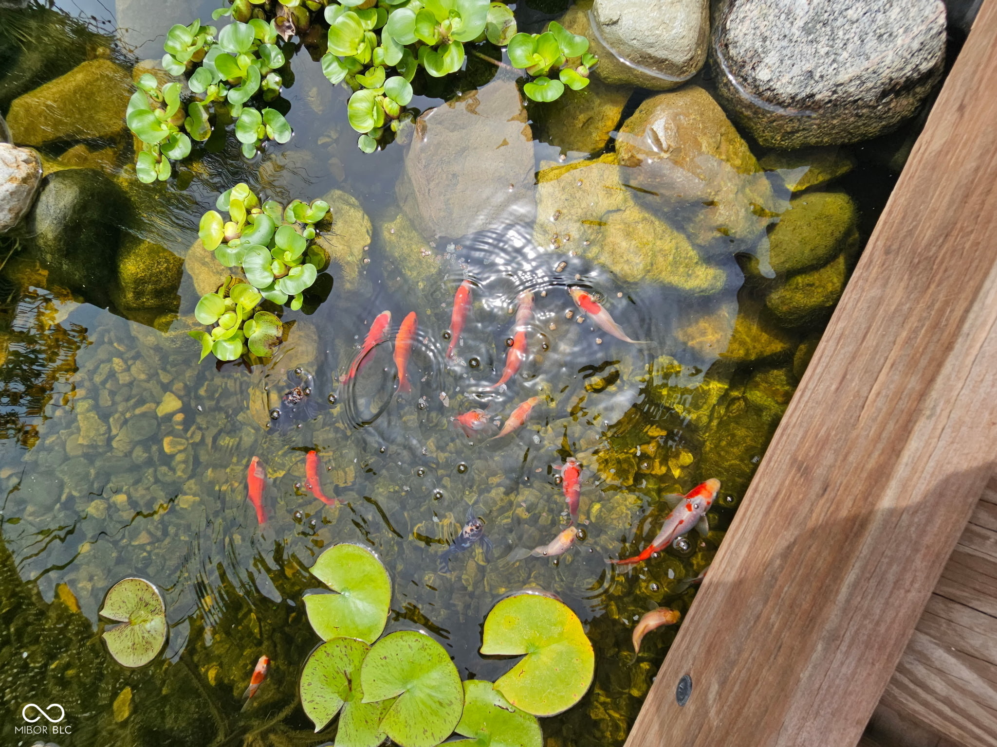 140 Waterford Court Pendleton, IN 46064 - Photo 6 of 69