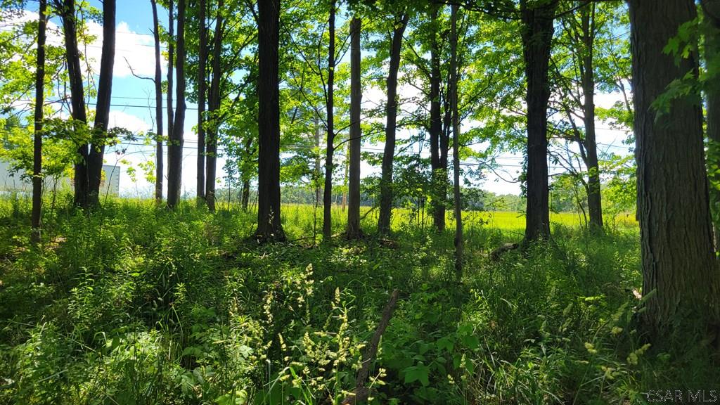 0 Felgar Road Somerset, PA 15501 - Photo 5 of 13