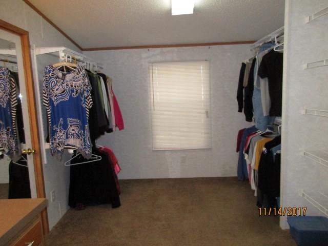8041 Cataba Lane Corryton, TN 37721 - Photo 30 of 39 IMG_0542