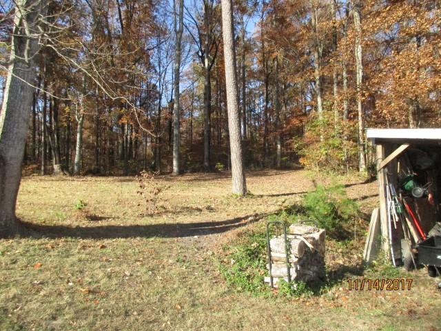 8041 Cataba Lane Corryton, TN 37721 - Photo 8 of 39 IMG_0517