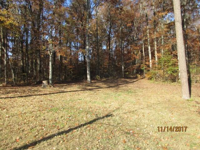 8041 Cataba Lane Corryton, TN 37721 - Photo 9 of 39 IMG_0518