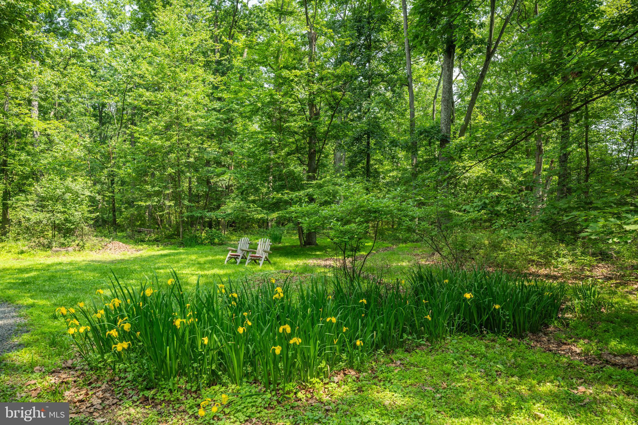 5613 Point Pleasant Pike Doylestown, PA 18902 - Photo 26 of 39 a view of yard with green space
