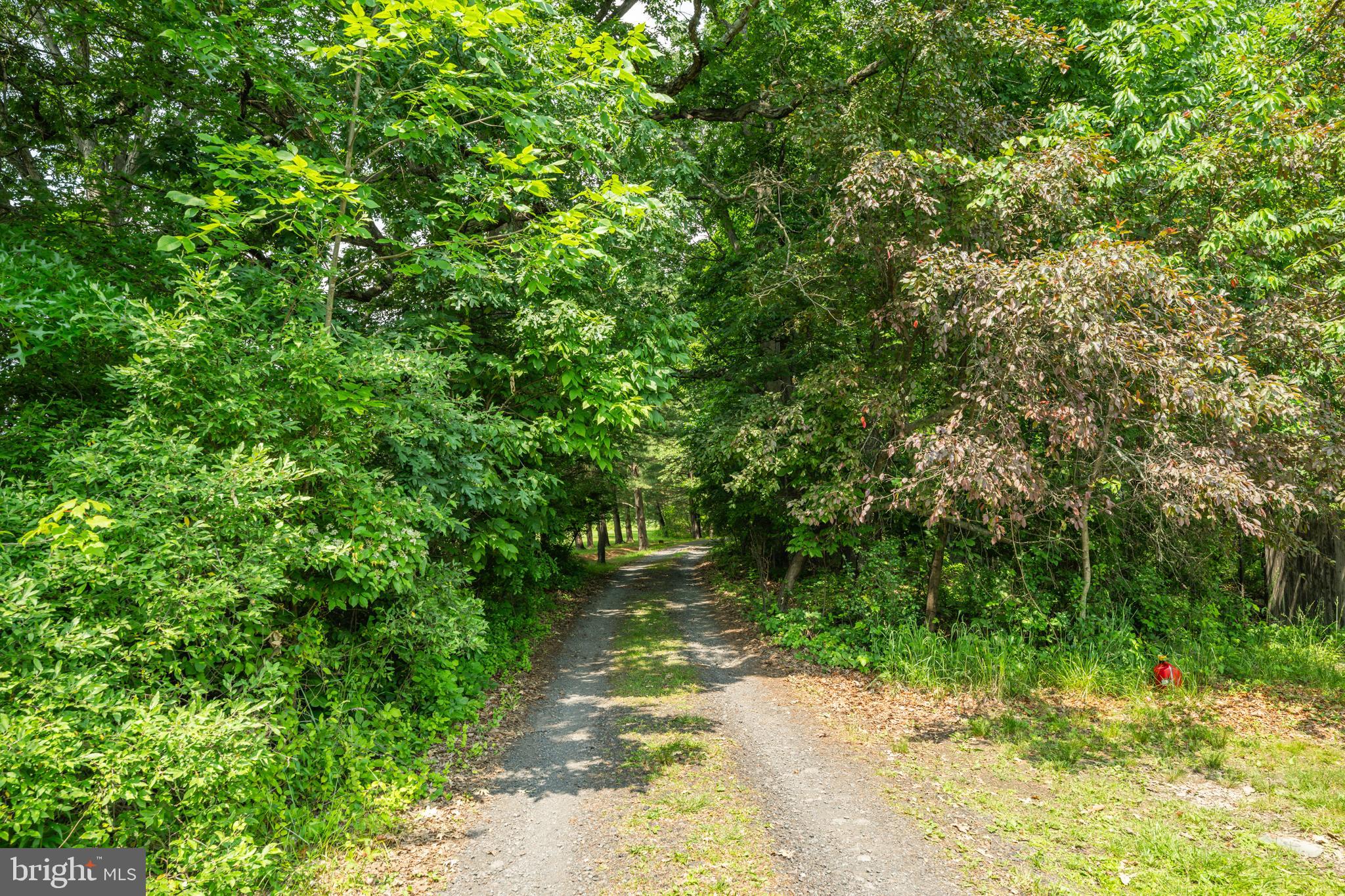 5613 Point Pleasant Pike Doylestown, PA 18902 - Photo 33 of 39 a pathway of a yard