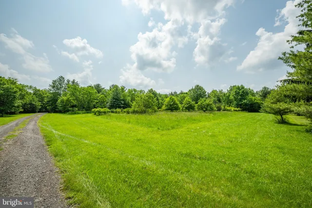 a view of a garden and basketball court