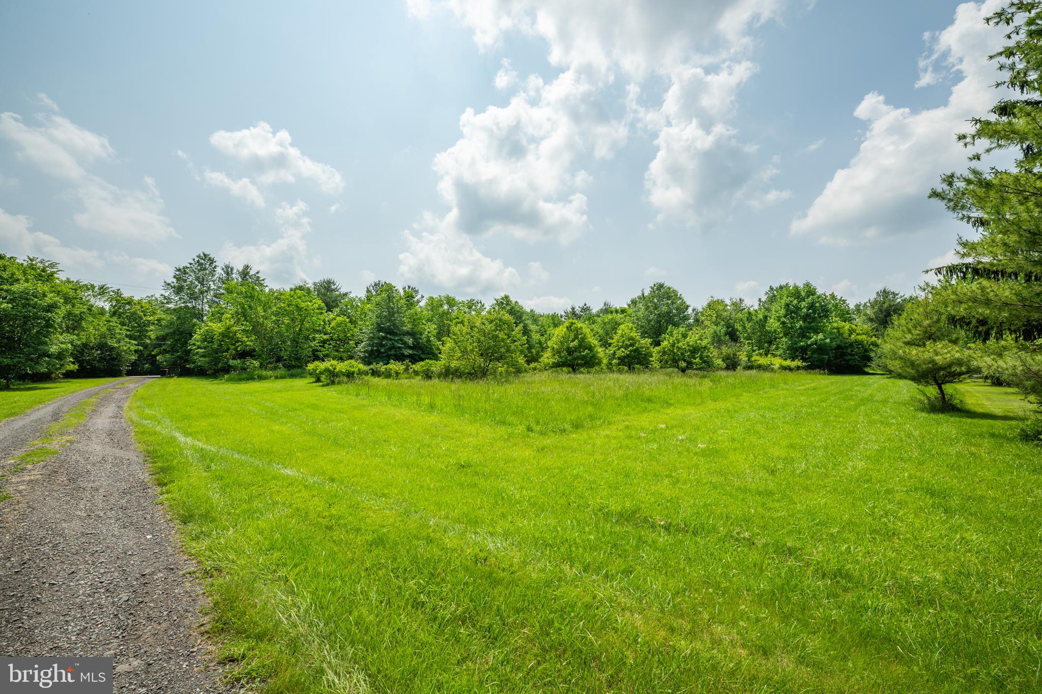 5613 Point Pleasant Pike Doylestown, PA 18902 - Photo 34 of 39 a view of a garden and basketball court