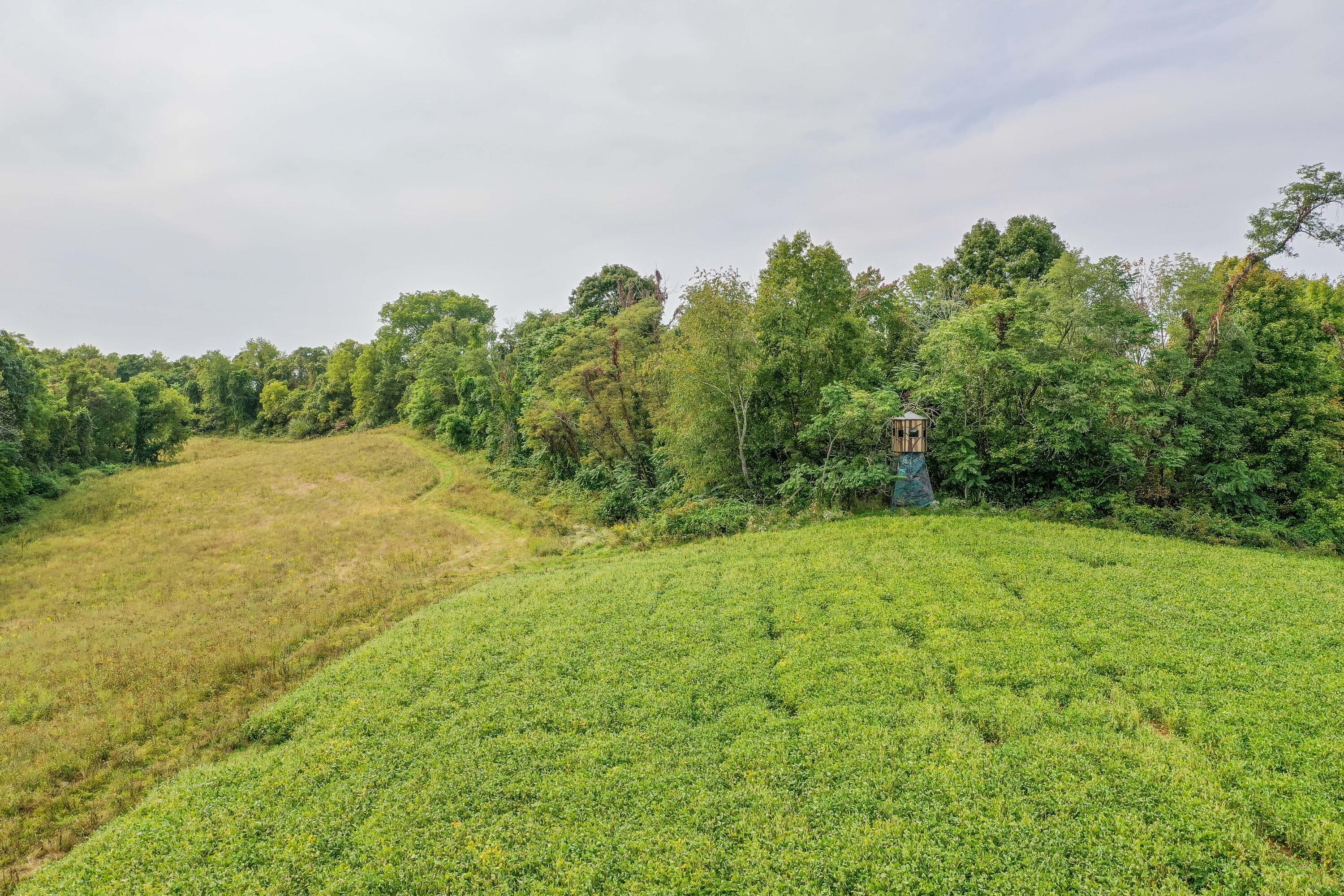 0 Ash Road Stockport, OH 43787 - Photo 10 of 44 DJI_0875